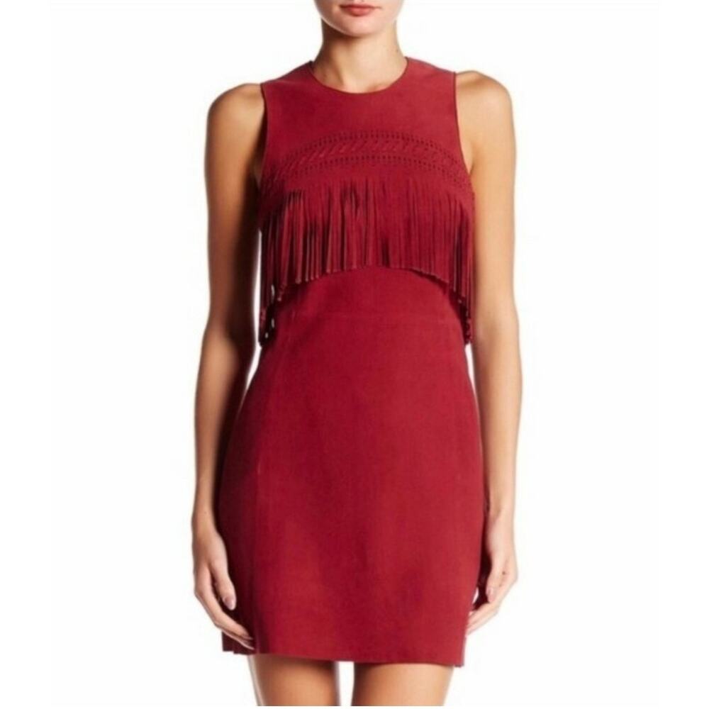 Rebecca Minkoff Western 70s Retro Sleeveless Fringe Suede Goat Leather Dress 2